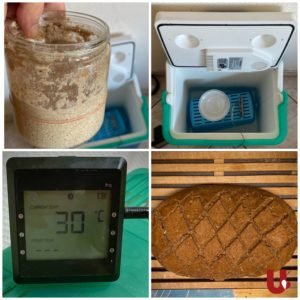 Sauerteig kontrollieren mit Thermometer und BBQGo