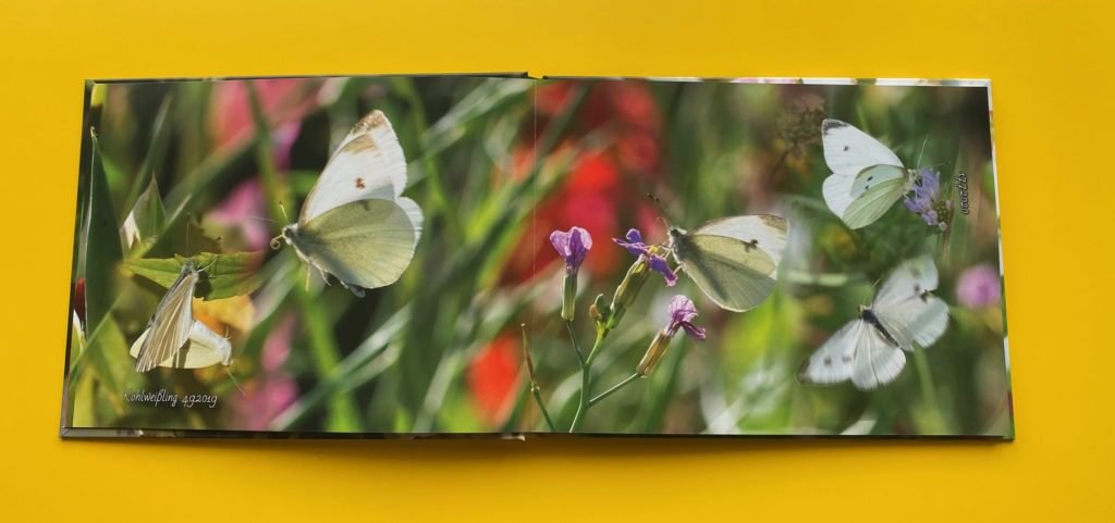 Fotobuch ein persönliches Geschenk