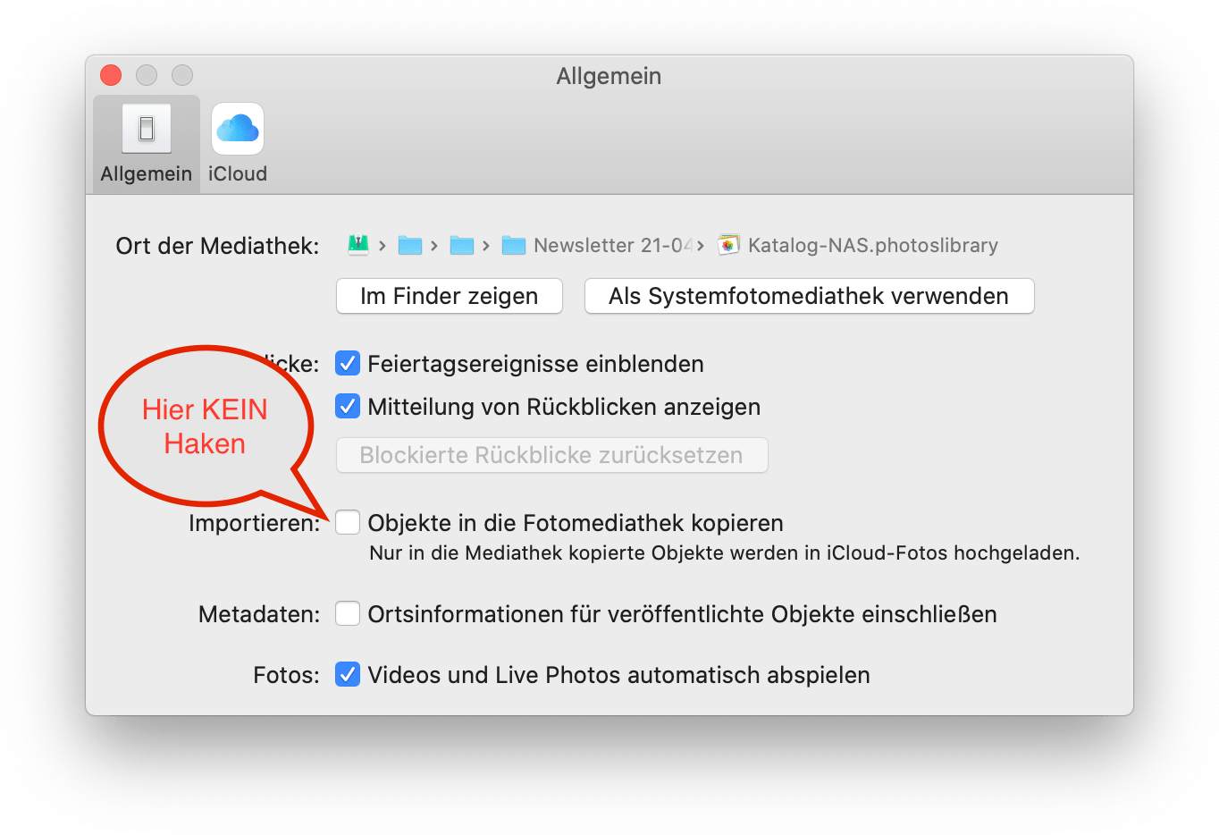 https://ulrike-john.de/wp-content/uploads/2021/04/Fotos_2021-04-04_at_10.14.18.png
